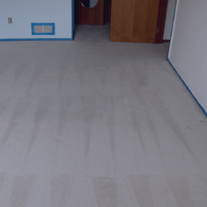 Carpet Cleaners Pearland TX | Eco Friendly (only $25 off)